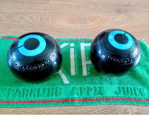 Greenmaster bowls pair - bowls,