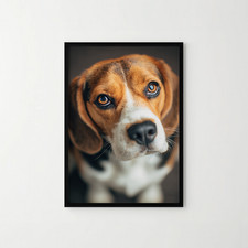 A4 Borderless Beagle Dog Close