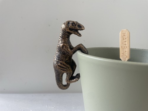 Bronze effect dinosaur plant - bronze,