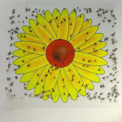 Fly catcher window - window, flower