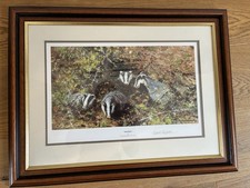Badgers Framed Print Artwork Picture Limited Edition Signed by Artist