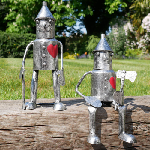 Pair wizard oz wicked - of,