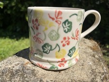 Rare emma bridgewater - rare,