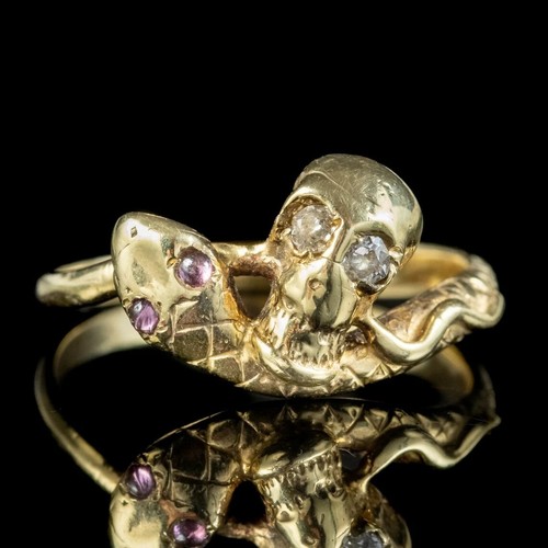 Skull snake round cut purple - round,