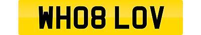 Private number plate - private, wh08