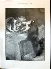Old 1898 Beautiful Cat Kittens Pet Dog Dinner Table Interrupted Moody Victorian