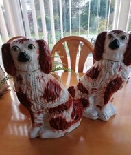 victorian king charles spaniel staffordshire dogs very good for age 15inchs high