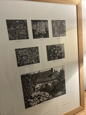 Stunning Cottage Prints by Audrey Hammond Framed and Glazed Signed by Artist