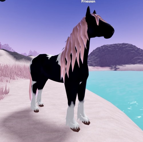 Wild horse islands - horse, 🌸