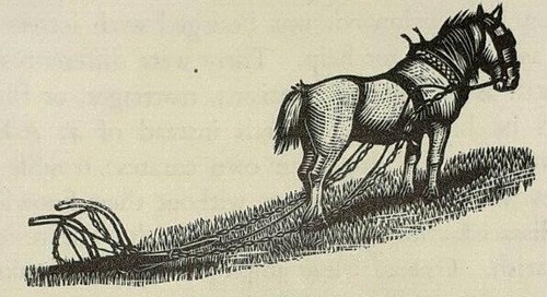 Working horse plough 1936 - horse,