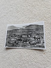 Vintage Real Photo Postcard