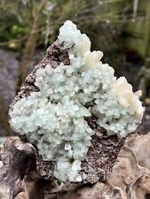 Green Apophyllite Rare Cluster