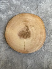 x7  Artificial Wooden Log Slices With Feet (Wedding Centrepiece)