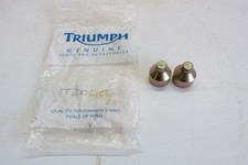 Triumph Daytona T595 Abba