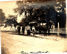 Antique Horse-Drawn Carriage