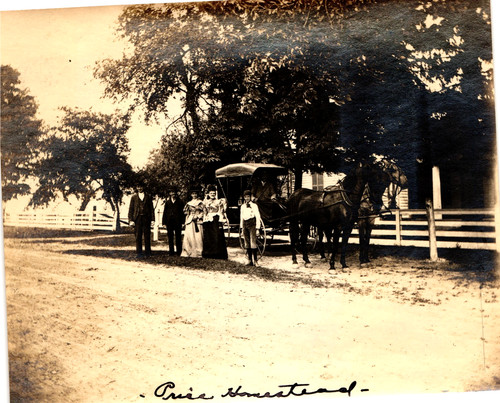 Antique horse drawn - horse-drawn, carriage