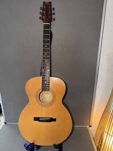 Washburn acoustic guitar - guitar,