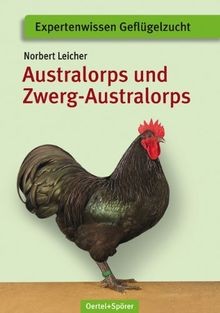 Australorps und