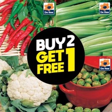 Vegetable Seeds UK Broad Beans