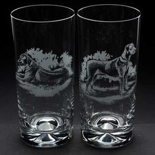 Rhodesian Ridgeback Dog Highball Glass - Hand Etched/Engraved Gift