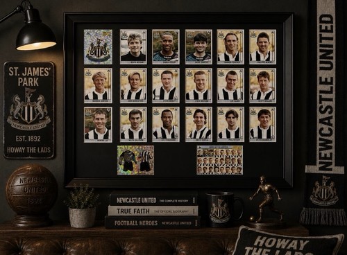 Newcastle framed stickers - newcastle,