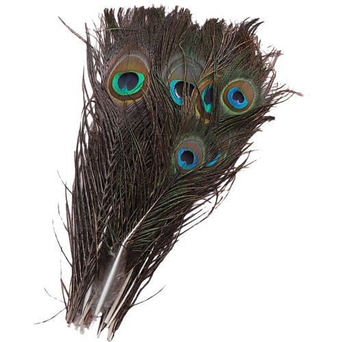 Natural multi color peacock - multi,