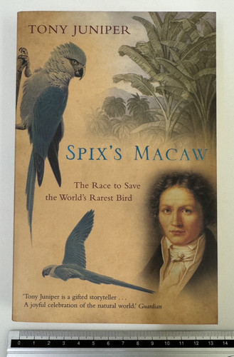 Spix macaw the race to - spix’s,