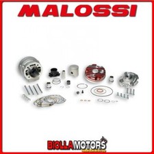 3115390 MALOSSI MHR TEAM 7T
