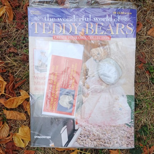 The wonderful world teddy - wonderful,