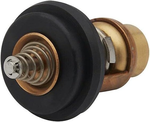 Thermostat for tohatsu nissan - thermostat,