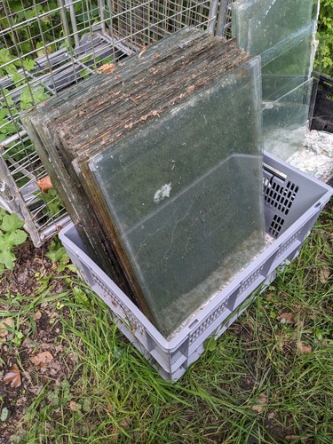Greenhouse glass - greenhouse,