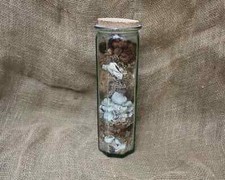 Vintage Collection of Dried Flowers Seaweed Sea Shells Cork Glass Vase Decor