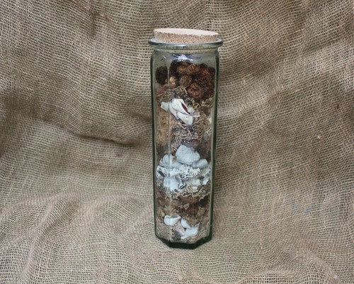 Vintage collection dried - collection,