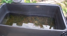 Koi vat/pond used free standing or can be sunk into ground