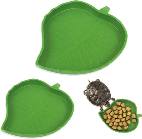Pieces reptile food - 2, water