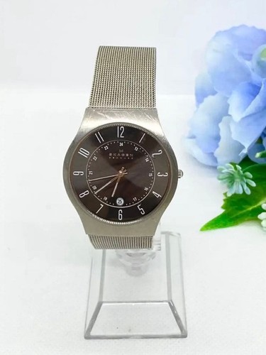 Operating skagen titanium date - titanium,