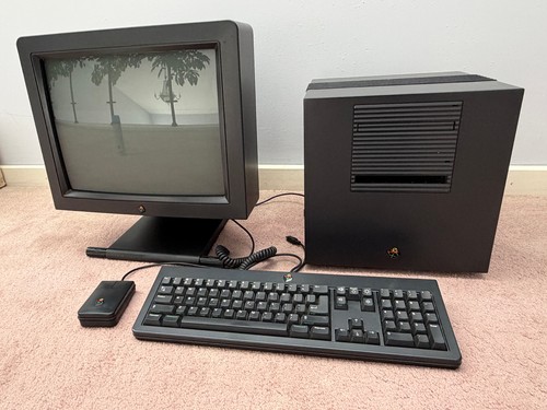 Rare complete next cube - next,