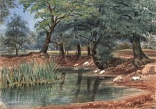 HENRIETTA E HOWARD Watercolour