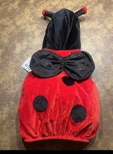 dream play imagine red ladybug