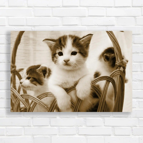 Cute kittens wicker basket - kittens,