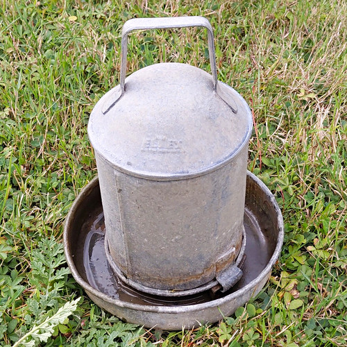 Galvanised eltex bird drinker - bird,