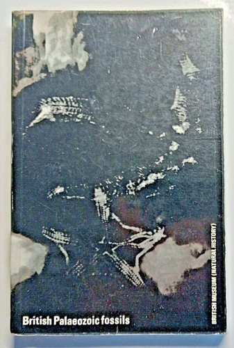 British palaeozoic fossils - british,