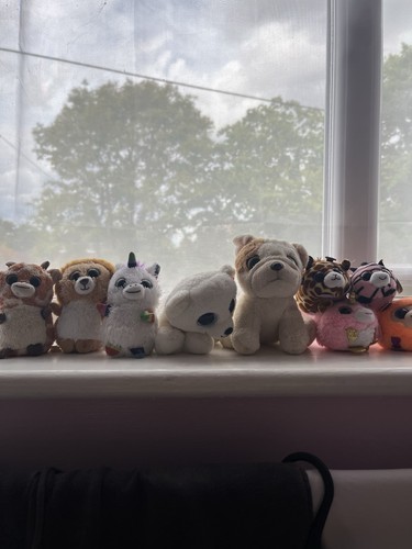 Beanie boo bundle - ty,