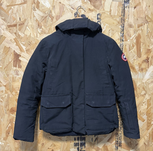Canada goose arctic - goose,