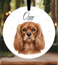 Cavalier king charles - king, spaniel