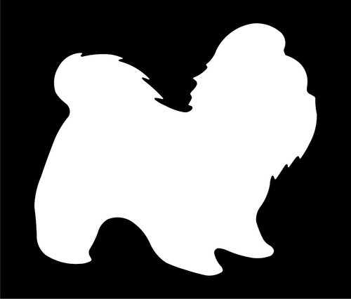 Shih tzu car - shih,