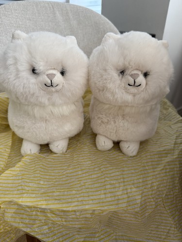 Jellycat carissa persian - jellycat, cat
