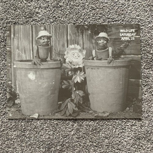 Wild life the flowerpot - the, men