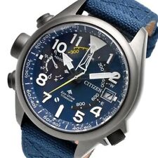 Citizen Promaster Land