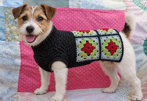 Small dog jumper handmade - dog,